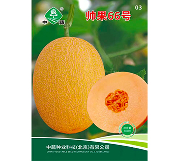 黄皮哈密瓜