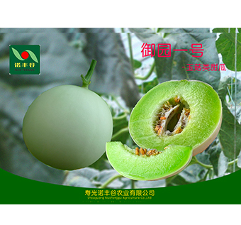 玉菇类甜瓜